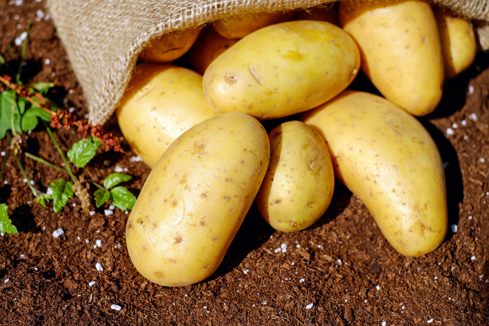 Pochi ci pensano ma ecco perché le patate si mettono in acqua fredda - Proiezioni di Borsa