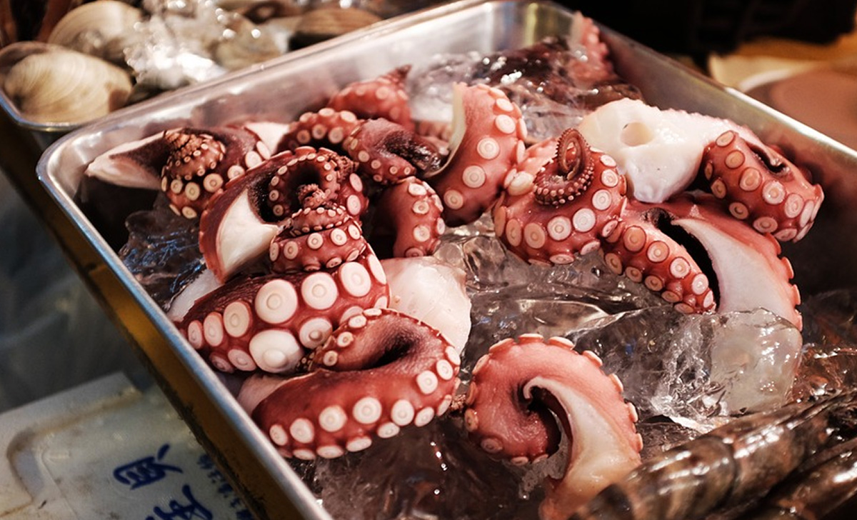 Chi Crede Sia Difficile Preparare Il Polpo Bollito O Grigliato Ma Sempre Tenero Come Burro Non Conosce Questo Semplice Trucco Da Chef Proiezioni Di Borsa