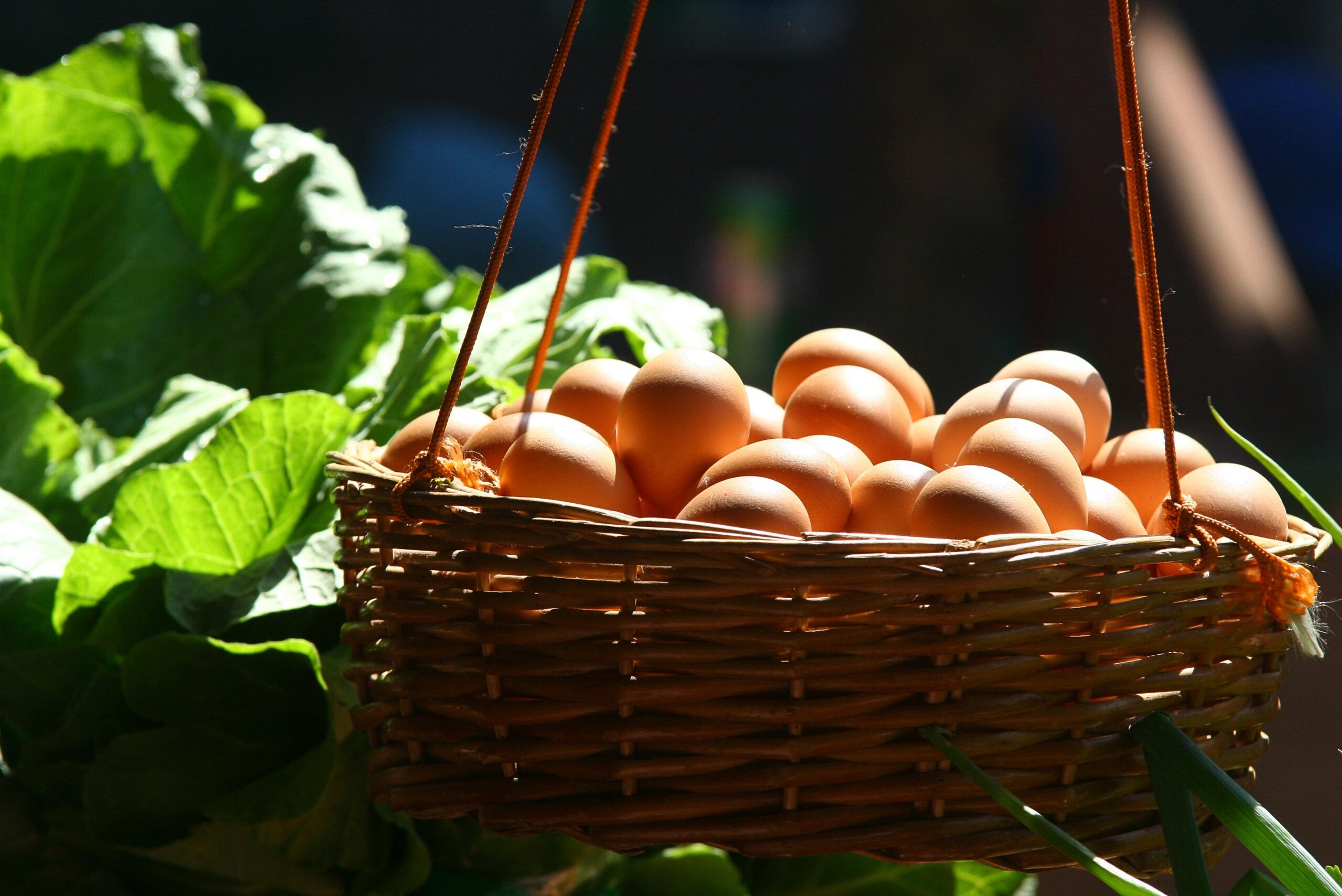 L Ingrediente Da Aggiungere Alle Uova Sode Per Eliminare Il Guscio Perfettamente In Un Battibaleno Proiezioni Di Borsa