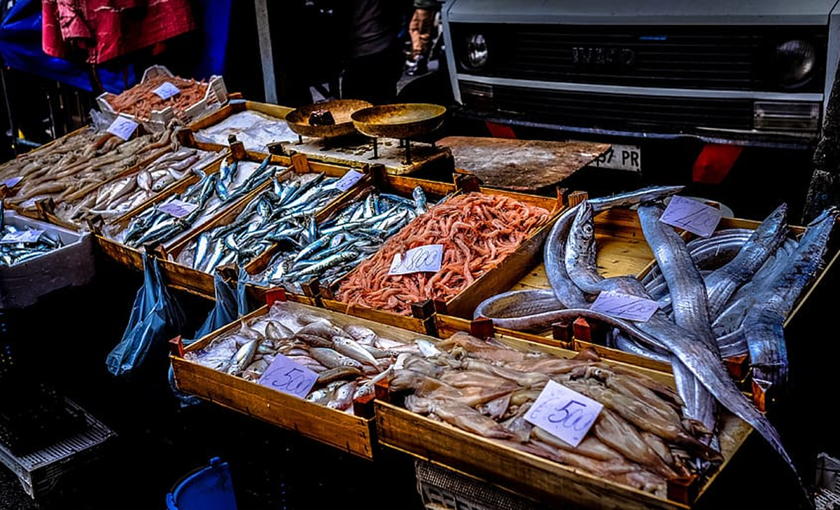 Este pescado se encuentra entre los mejores y más sabrosos pescados del Mediterráneo y es una absoluta riqueza para la salud.