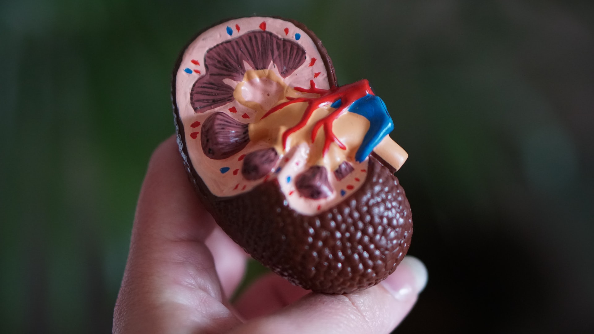 Tenga cuidado con la infección renal, no tenemos que seguir estas creencias comunes