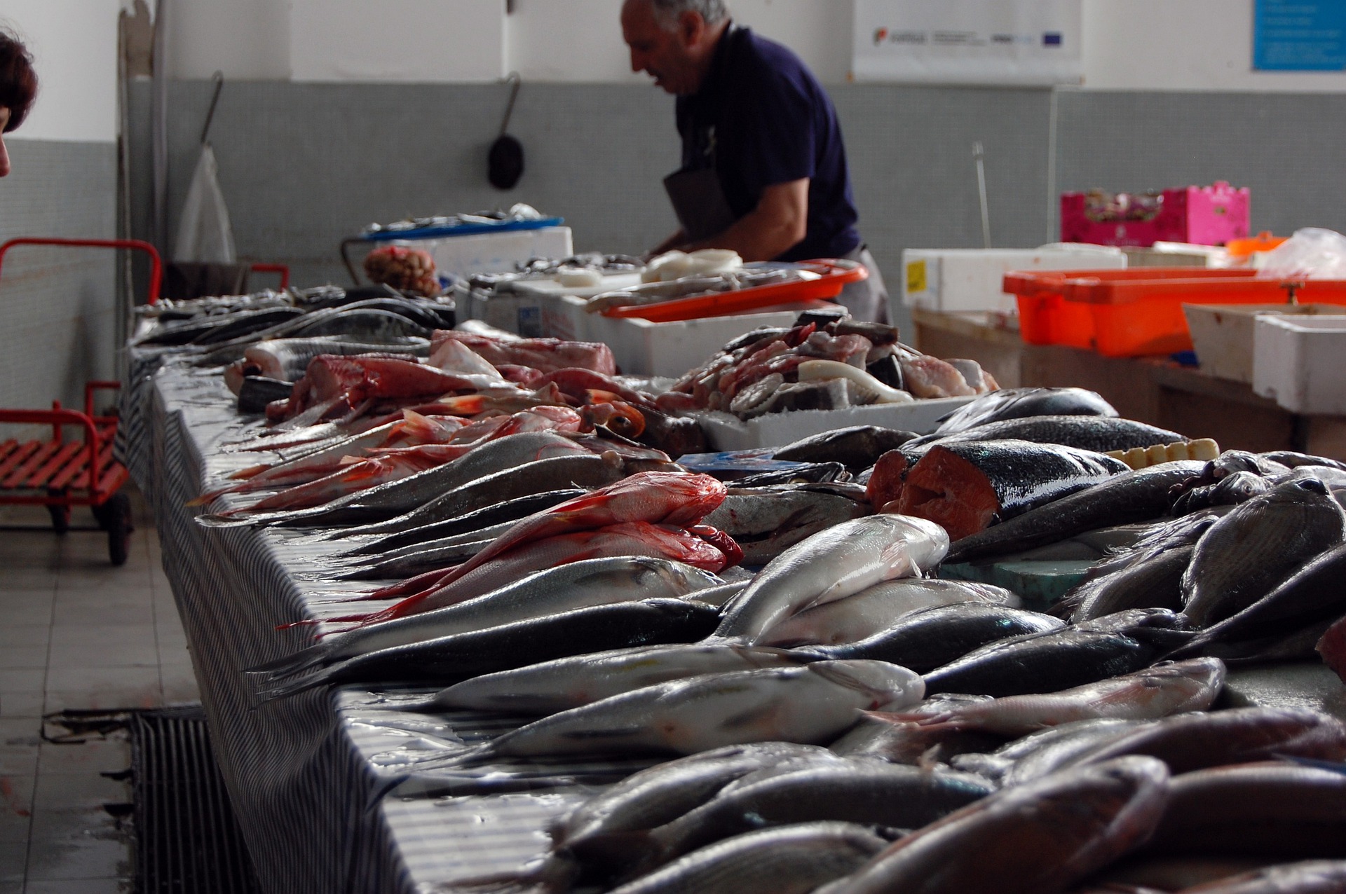 Muitos subestimam isso, mas este peixe barato vai ajudar na saúde do coração e das artérias
