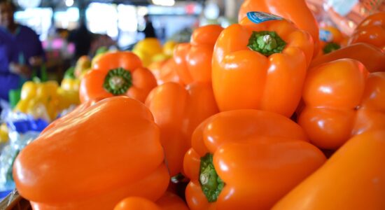 verdura peperoni arancioni